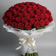 Букет 101 Красная роза Блэк Мэджик в Зарайске