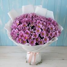 Букет цветов из:  Хризантемы в Зарайске