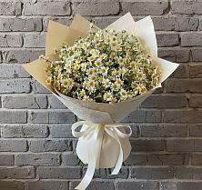 Букет цветов из:  Ромашки #REPLACE_PRED# Зарайске
