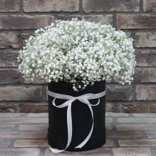 Цветочная композиция из Гипсофила в шляпной коробке в Зарайске