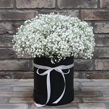 Цветочная композиция из Гипсофила в шляпной коробке в Зарайске
